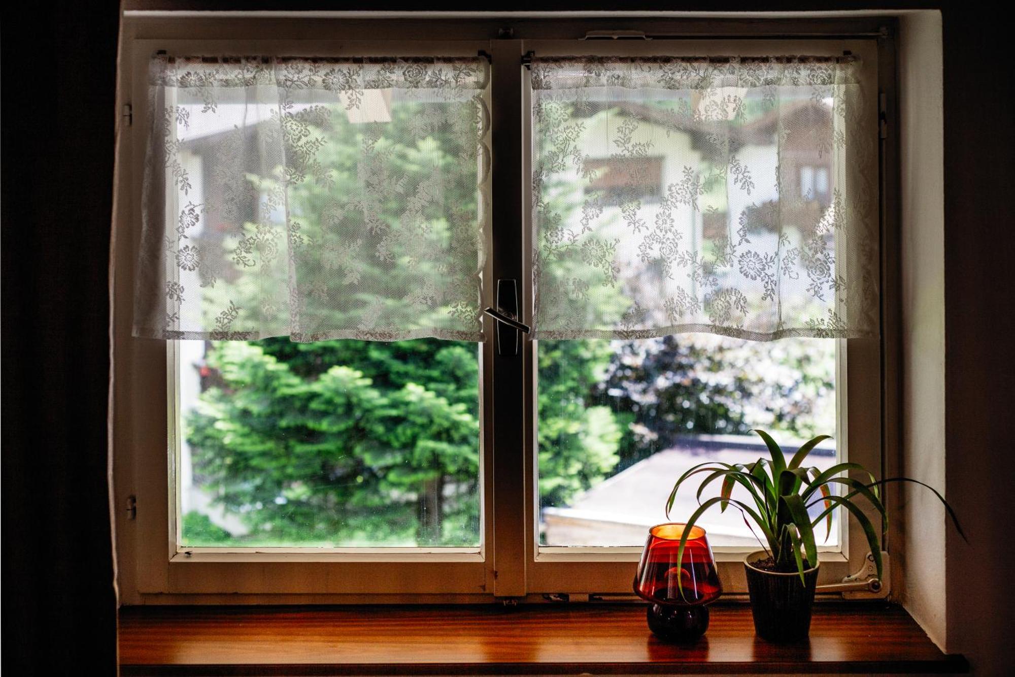 Pinetree Lodge マイヤーホーフェン エクステリア 写真