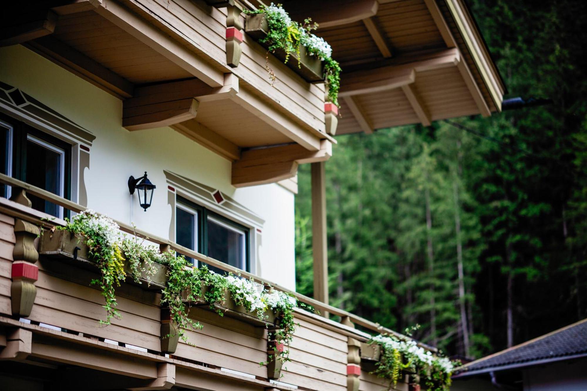 Pinetree Lodge マイヤーホーフェン エクステリア 写真